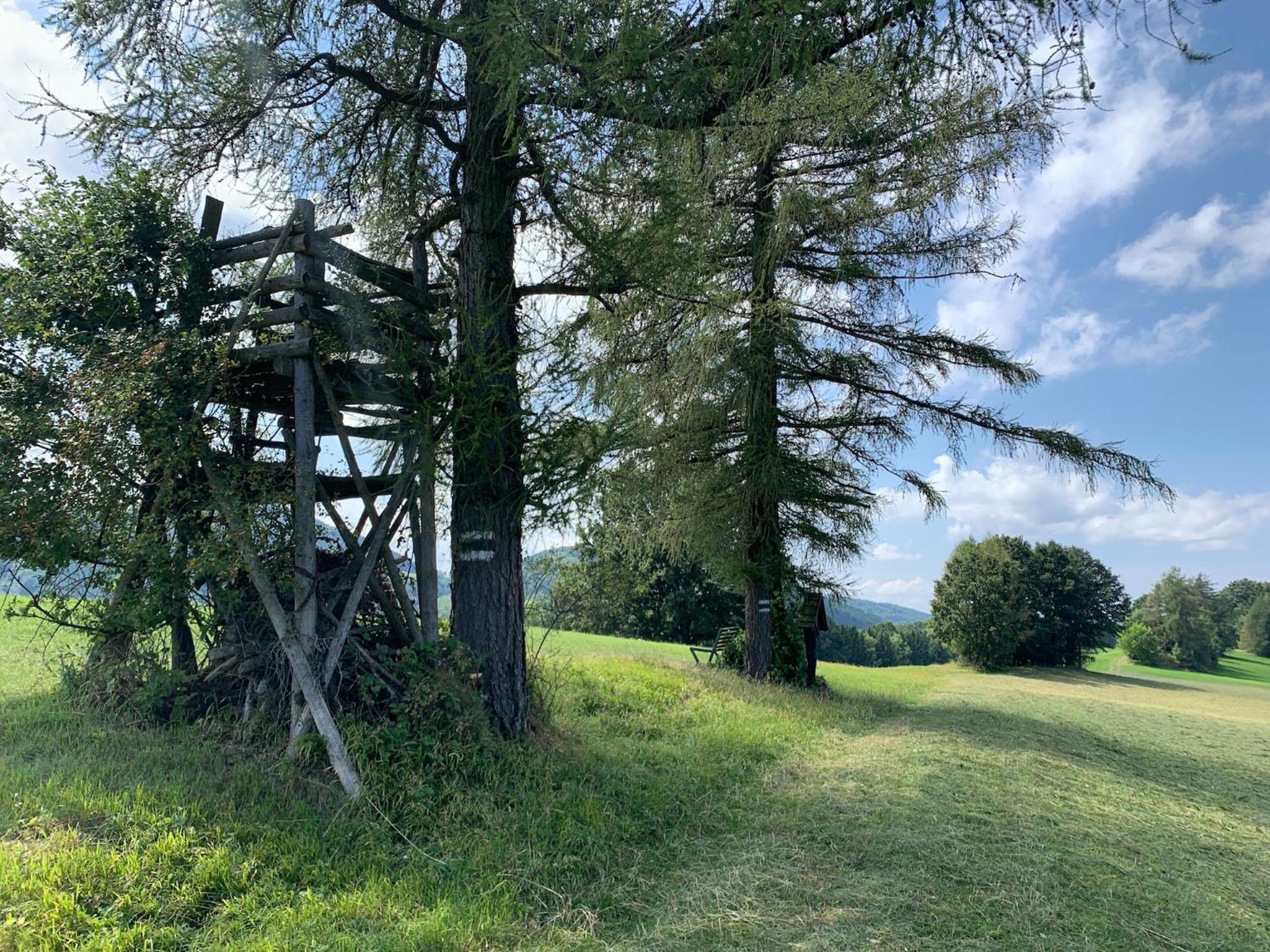 Landgasthof zur Linde Laaben Exterior foto